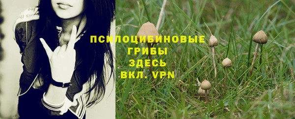 соль ск Абдулино