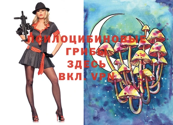 бошки Абаза